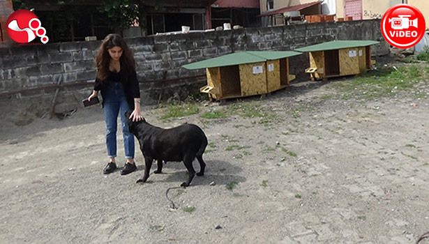 Her şey onlar üşümesin diye...