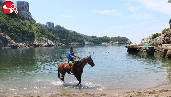 Yarış atıyla denize girdi… Vatandaşlar ilgiyle izledi…
