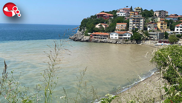 Plaj sarıya bulandı!..