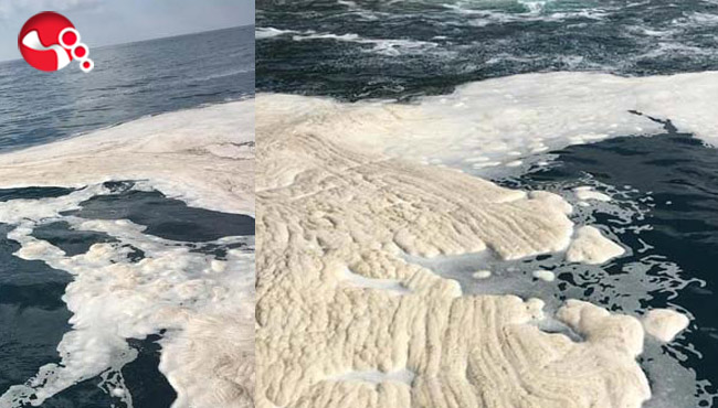 Valilik İNCELEME BAŞLATTI!