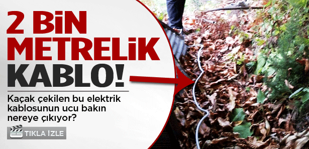 Kaçak kömür ocağına 2 km'lik kablo çekmişler