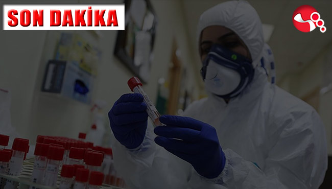 Zonguldak'ta günlük vaka sayısı 27,en çok vaka ise...