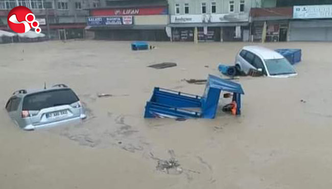 ORMANLI'YI SEL ALDI!