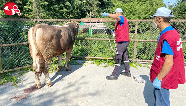 Kurban Yakalama Timi Göreve Hazır