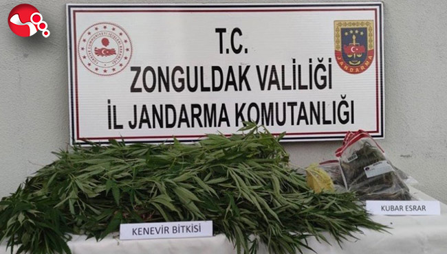 Evde ve bahçede ele geçirildi