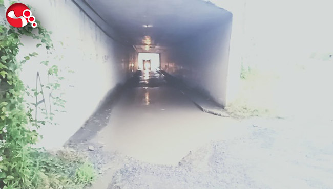 Her yağmurda göle dönüyor…