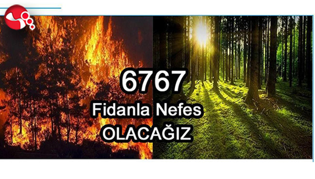 ZONDEF’ten “6767” fidan kampanyası