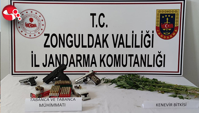 Kenevir yetiştiriciliği...