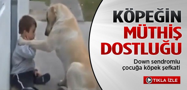Down sendromlu çocuğa köpek şefkati