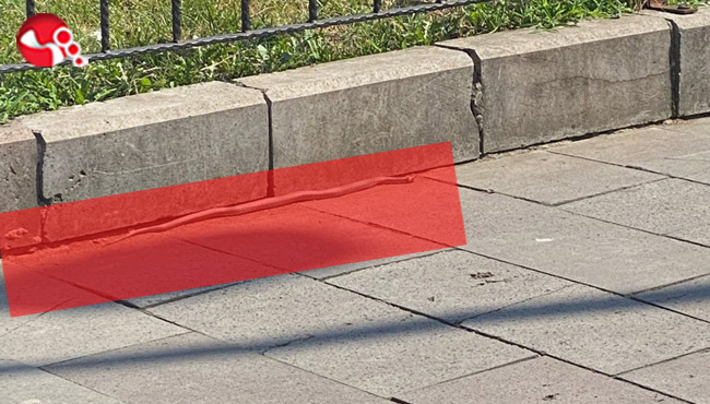 Bakın aracın motorundan ne çıktı: Görenler şaşkın!!!