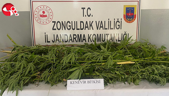 Kenevir ele geçirildi...