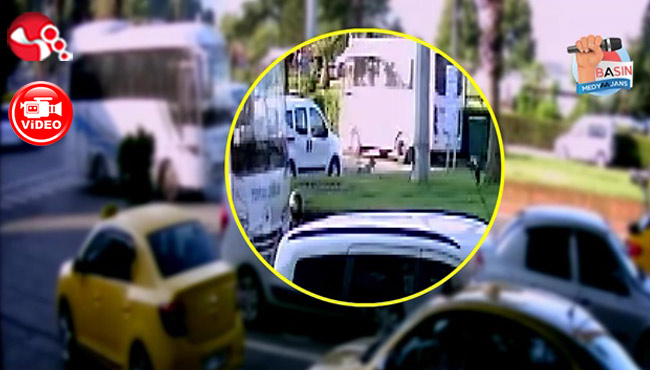 Çoban Köpeğine çarptı...