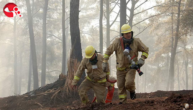 Orman Genel Müdürü Karacabey'den çarpıcı açıklamalar...İşte detaylar!
