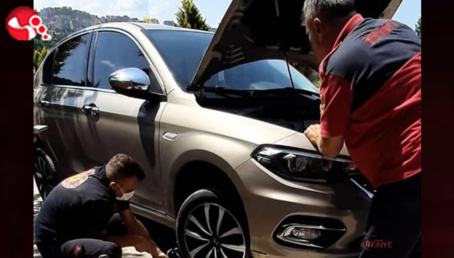 Motor kısmına sıkıştı, Ekipler seferber oldu!..