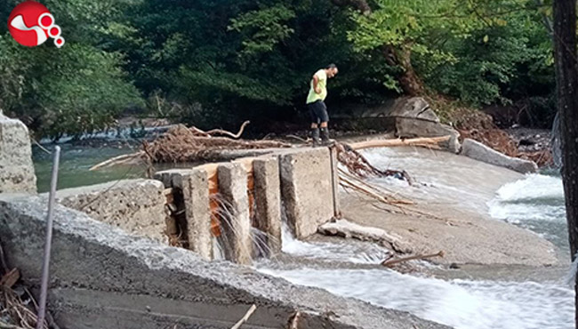 Bu yol sayesinde sele kapılmaktan kurtuldular