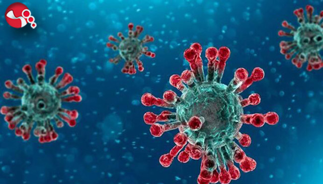 Ereğli'de COVİD-19'da son veriler...