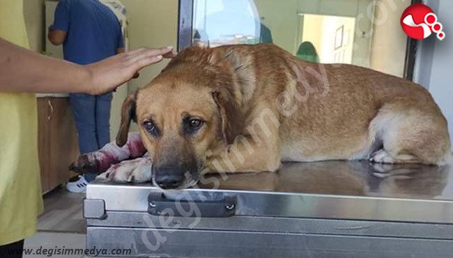 ATİK kurtarılamadı, diğerleri zarar görmesin!..