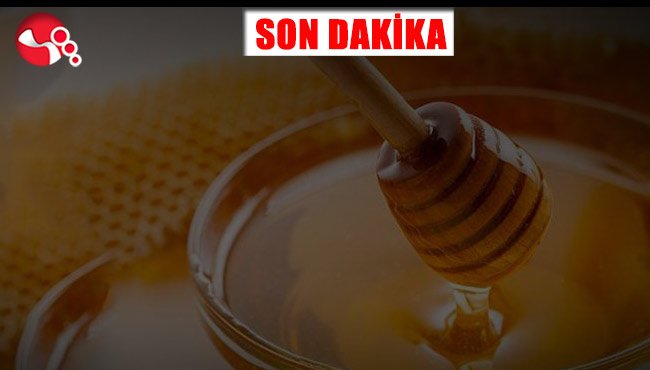 Acı bal hastanelik etti!..