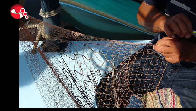 Denizlerde av sezonu başlıyor