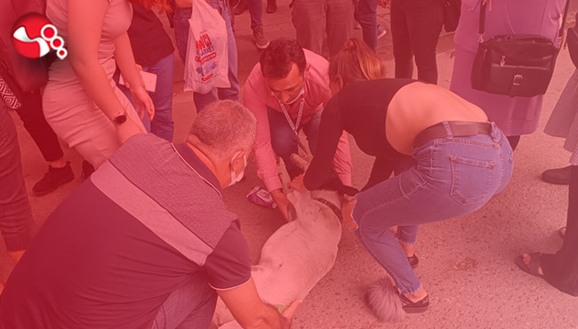 Dakikalarca kalp masajı yaptı