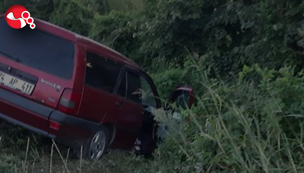 Çalılık alana uçtu