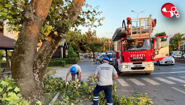 Ereğli Belediyesi, Fırtınaya Karşı Teyakkuzda!..