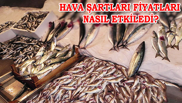 BALIK FİYATLARI ARTTI