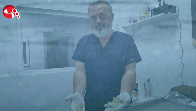 Veteriner Hekimde şaşırdı!..