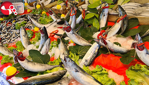 Palamut bollaştı, fiyatlar düşüyor