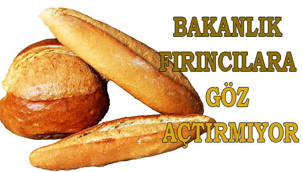 15 BİN FIRINCIYA EĞİTİM VERİLDİ