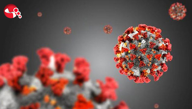 Can kayıplarında artışlar devam ediyor...