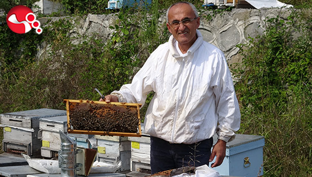 Arı üreticileri 300 ton baldan 60 milyon TL gelir elde etti