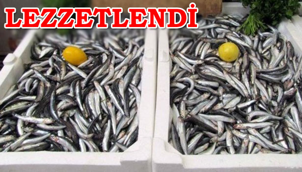KAR SUYU HAMSİYİ LEZZETLENDİRDİ