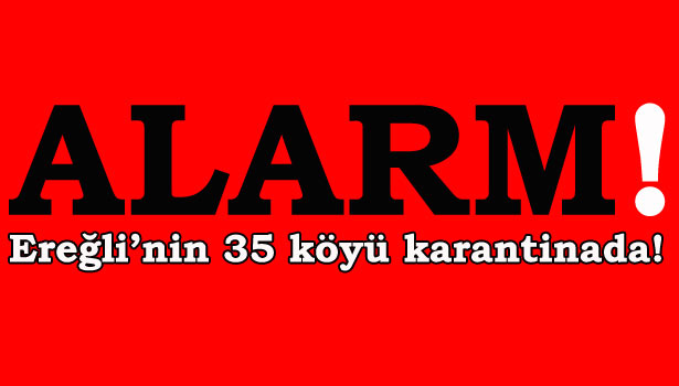 YALANCI TAVUK VEBASI ALARMI