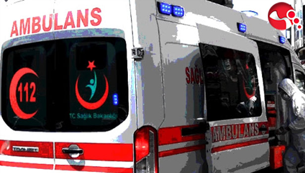 Ağaçtan düşerek ağır yaralandı!..