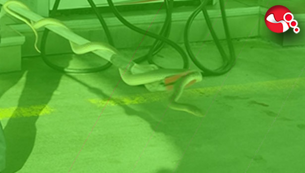 Soyunma odasındaydı!..