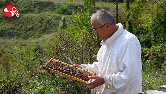 “Arı Gibi Çalışkan Kadınlar” Zonguldak’a katkı sağlayacak