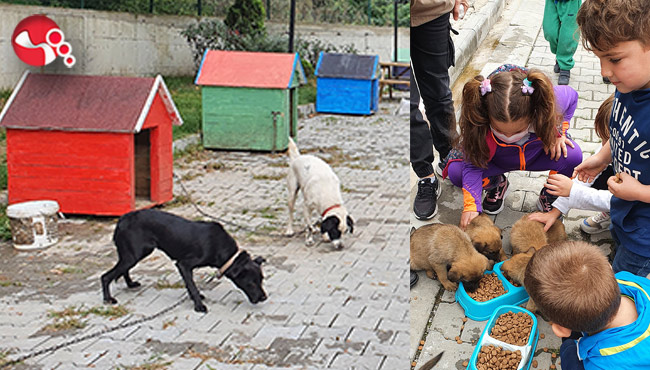 4 Ekim Dünya Hayvanları Koruma Günü etkinliklerle kutlandı