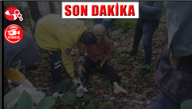 Kestane toplayacaktı, ayağından vuruldu!!!