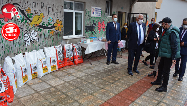 “Uzaktan uzağa hayvan sevilmez, Barınağa ve Derneğe gelin...”