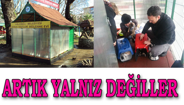 EREĞLİ'DE SOKAK KEDİLERİNE YÖNELİK ÇALIŞMA SÜRÜYOR