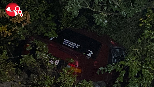 Şarampole yuvarlandı