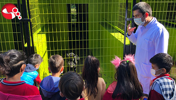 Barınak Hayvanlarının Kapıları minik kalplere açıldı