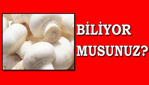 MANTAR HANGİ RİSKLERİ AZALTIYOR?