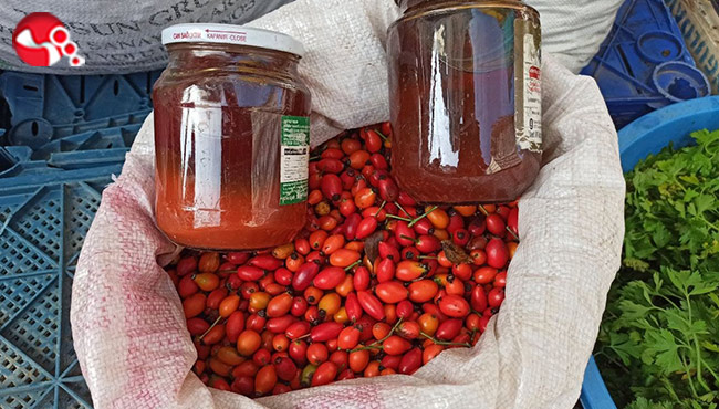 Doğal ilaç Kuşburnu pazar tezgahlarında yerini aldı