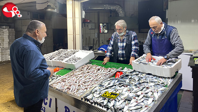 Hamsinin yerini İstavrit aldı