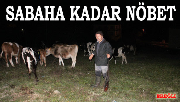 KÖY HALKI SABAHA KADAR NÖBET TUTTU