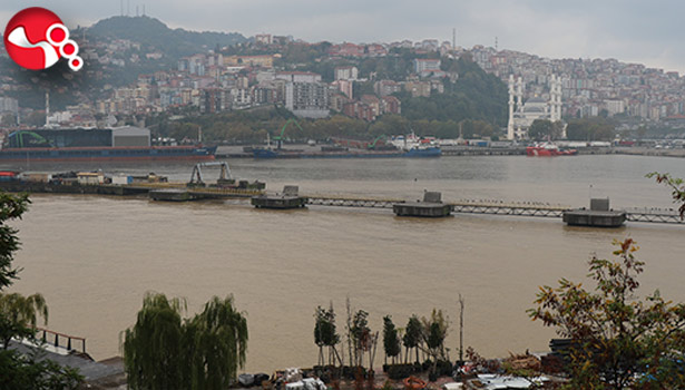 Liman sarıya boyandı...