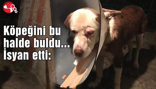 “Böyle bir vicdansızlık yok”