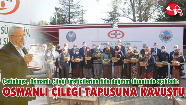 OSMANLI ÇİLEĞİ TAPUSUNA KAVUŞTU
